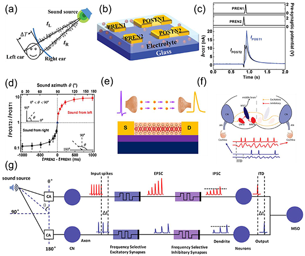 Recent advances in emerging neuromorphic computing and perception ...