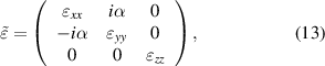 Equation (13)
