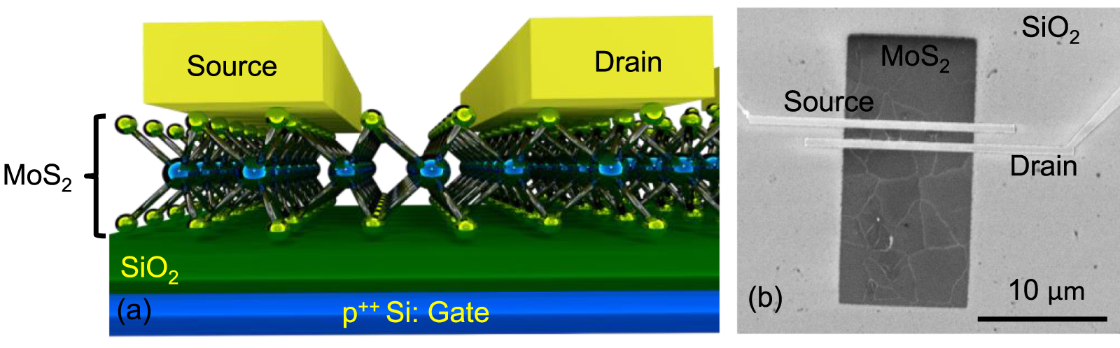 Mos Machine R2 Superior resistance switching in monolayer MoS2 channel-based gated ...