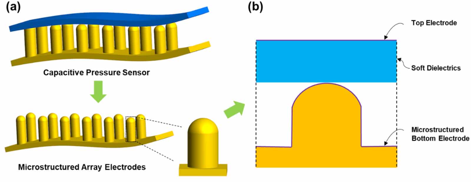 A theoretical model of a flexible capacitive pressure sensor with ...