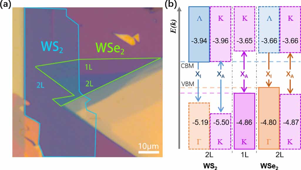 Ws2 Particle Layer-engineered interlayer charge transfer in WSe2/WS2 ...