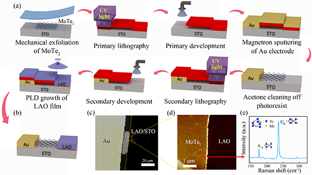 High-photoresponsivity heterojunction based on MoTe2/2D electron