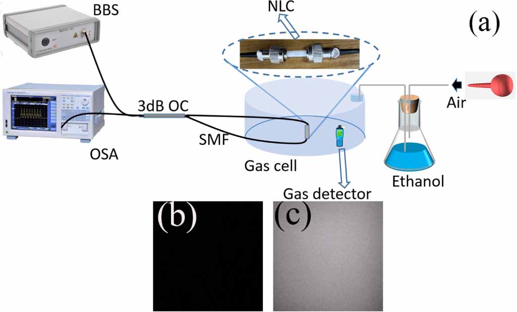 High sensitivity ethanol vapor sensor based on a nematic liquid crystal ...
