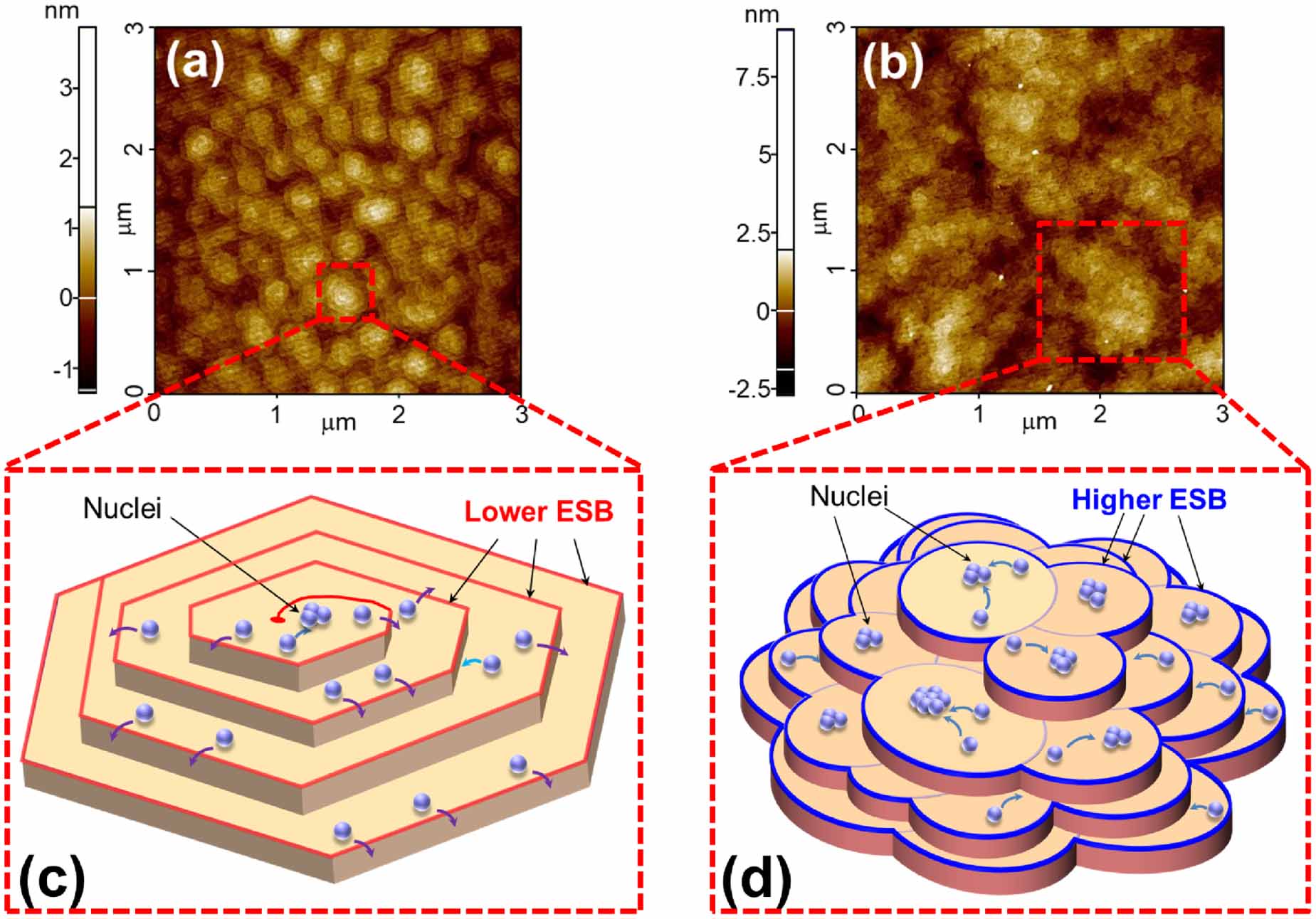 Surface morphology evolution of N-polar GaN on SiC for HEMT ...
