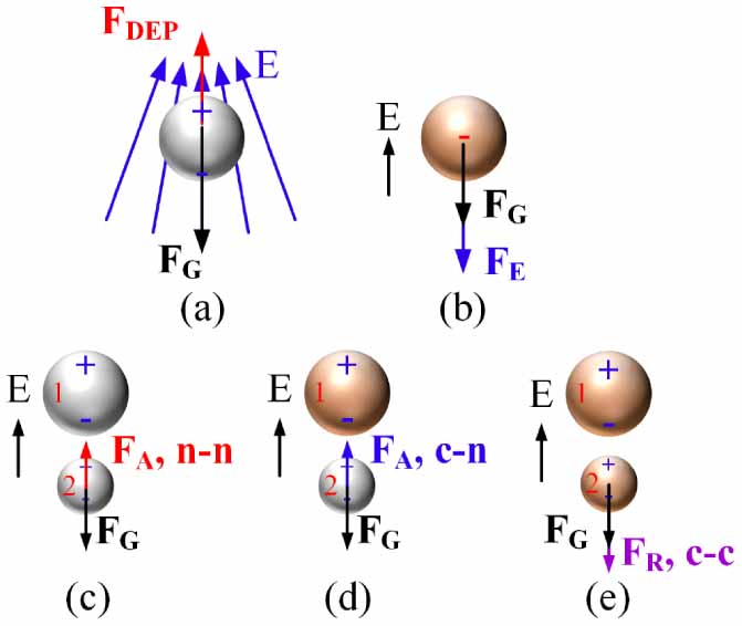 Investigation of the effects of parallel electric field on fog ...