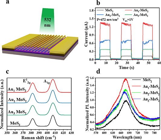 Plasmon resonance-enhanced superior 2D MoS2 photodetector via single ...