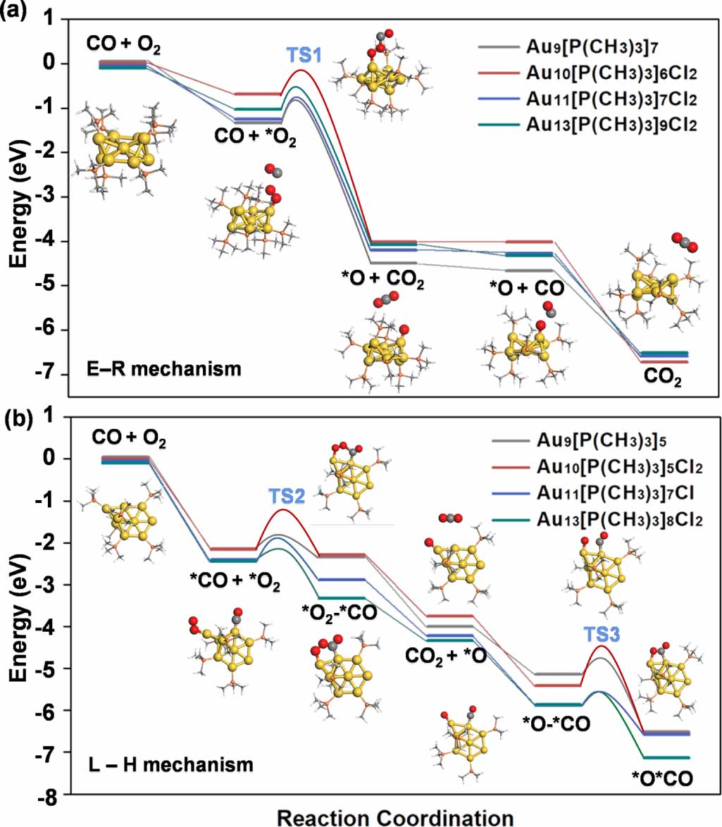 Atomically precise gold nanoclusters for CO oxidation: balancing ...