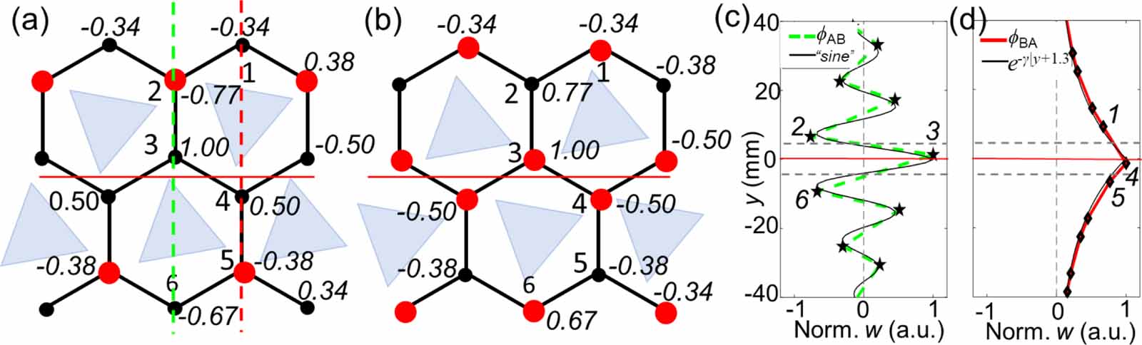Theoretical and experimental demonstrations of the transversely ...