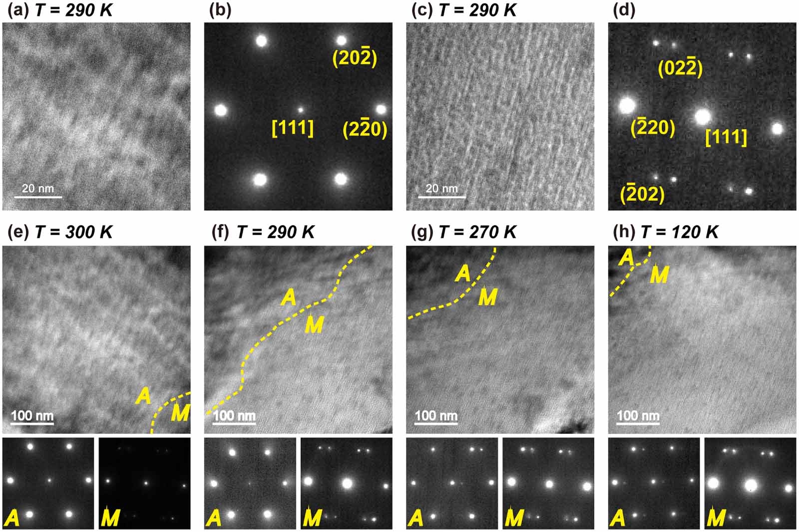 ｋ Krone ZX 450 GD for sale, Self-loading wagon, 53550 EUR