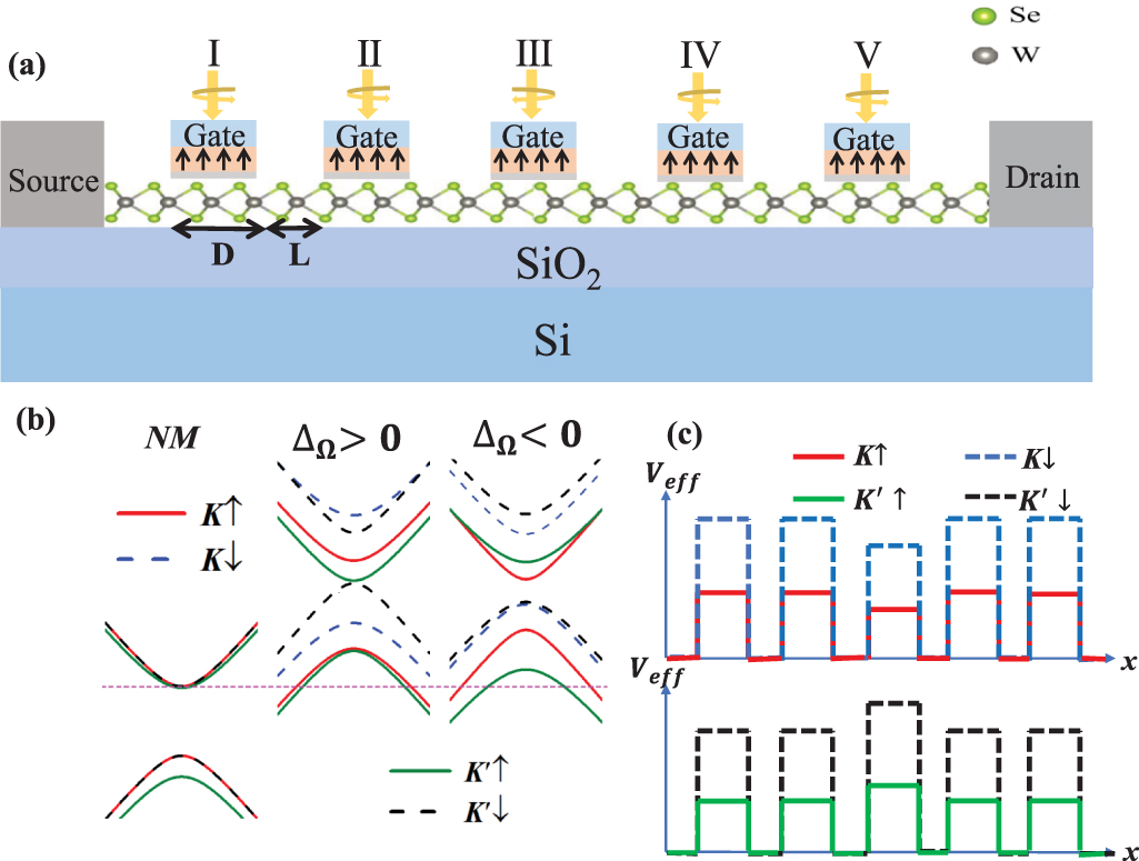 High-efficiency spin and valley filter in a monolayer WSe2 superlattice ...