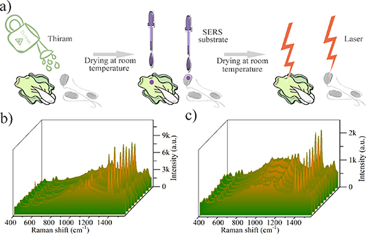 Ag@ZIF-67 nanocomposites for ultra-sensitive SERS detection to thiram ...