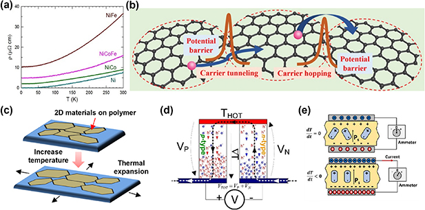 Flexible temperature sensors based on two-dimensional materials for ...