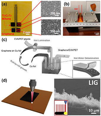 Flexible temperature sensors based on two-dimensional materials for ...