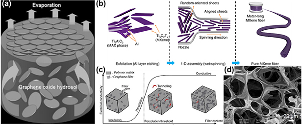 Flexible temperature sensors based on two-dimensional materials for ...