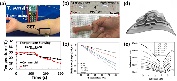 Flexible temperature sensors based on two-dimensional materials for ...