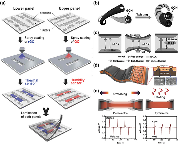 Flexible temperature sensors based on two-dimensional materials for ...