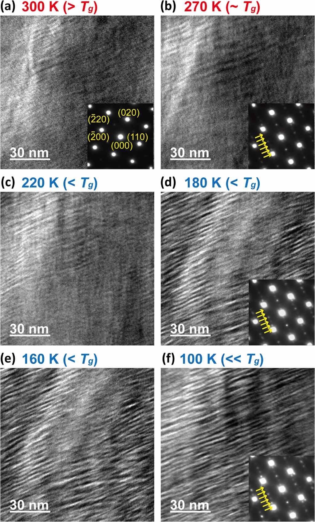 000様 Elastocaloric effect with plateau-shape adiabatic
