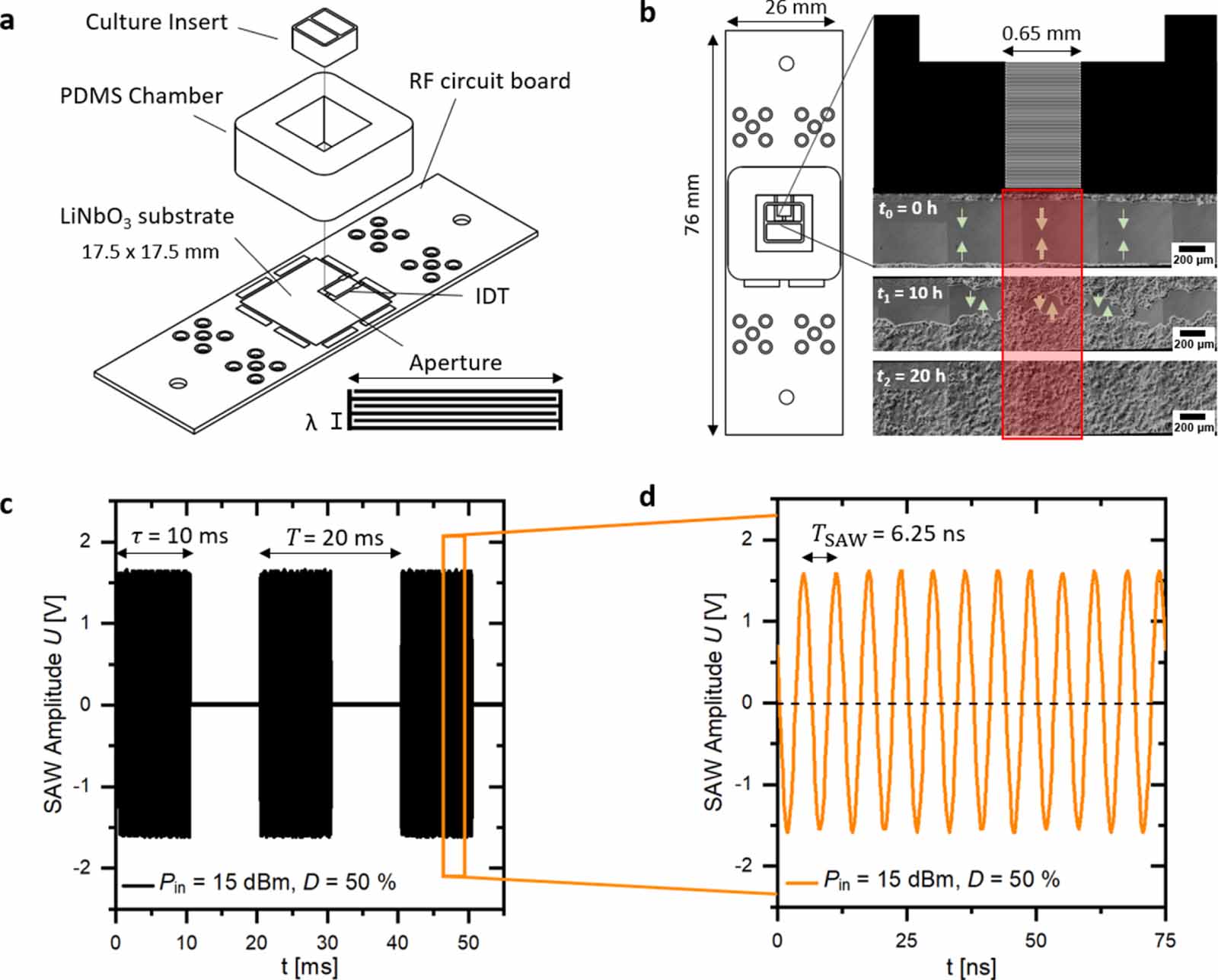 Pulsed surface acoustic waves accelerate wound healing and reveal new ...