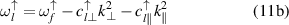 Equation (11b)