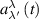 $a_{\lambda ^{^{\prime}}}^\lambda \left( t \right)$