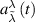 $a_{\tilde \lambda }^\lambda \left( t \right)$
