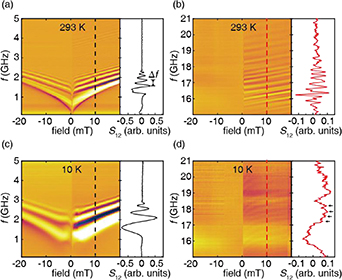 Excitation of exchange spin waves in a magnetic insulator thin film at ...