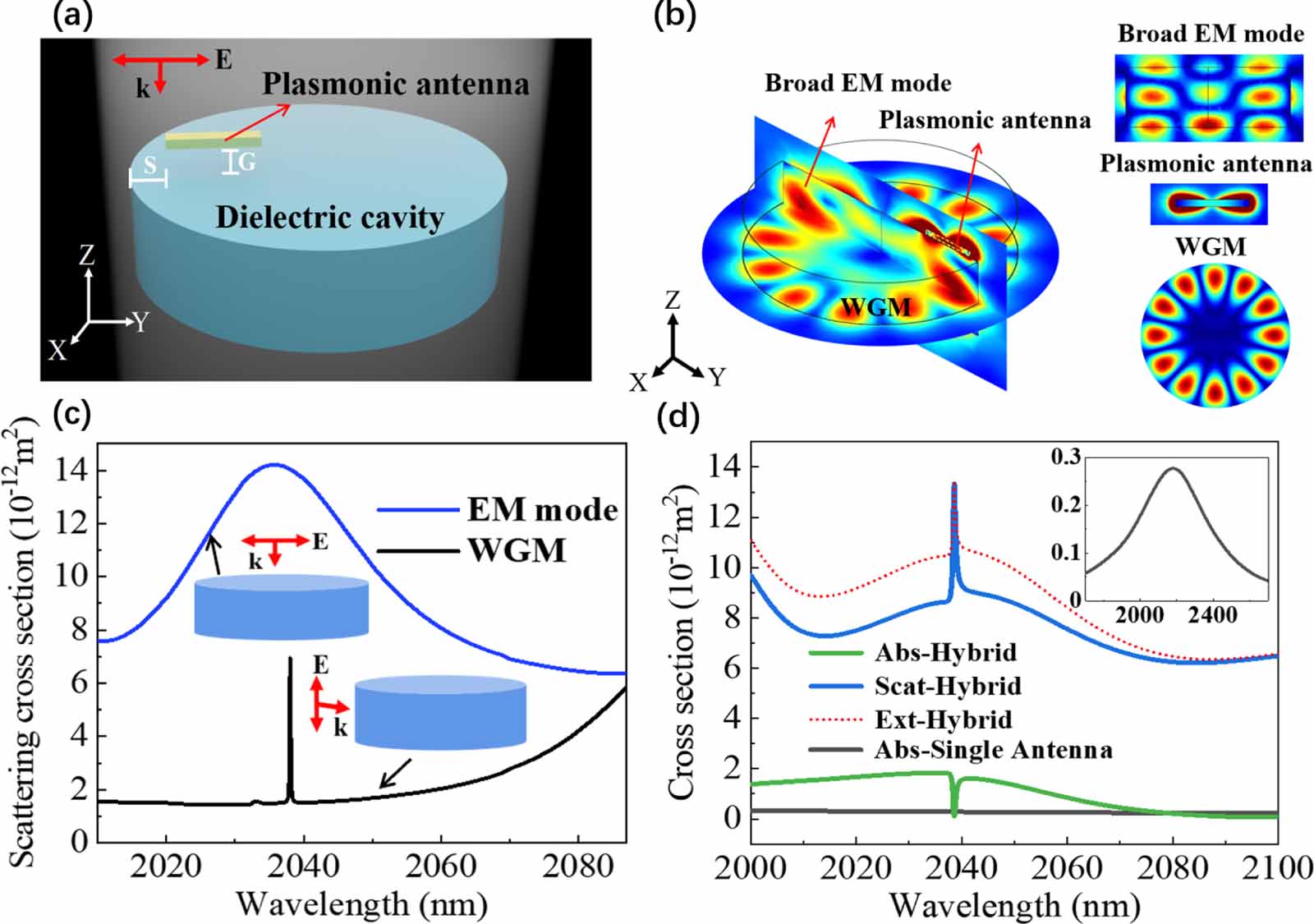 Coherent energy transfers between orthogonal modes of a dielectric