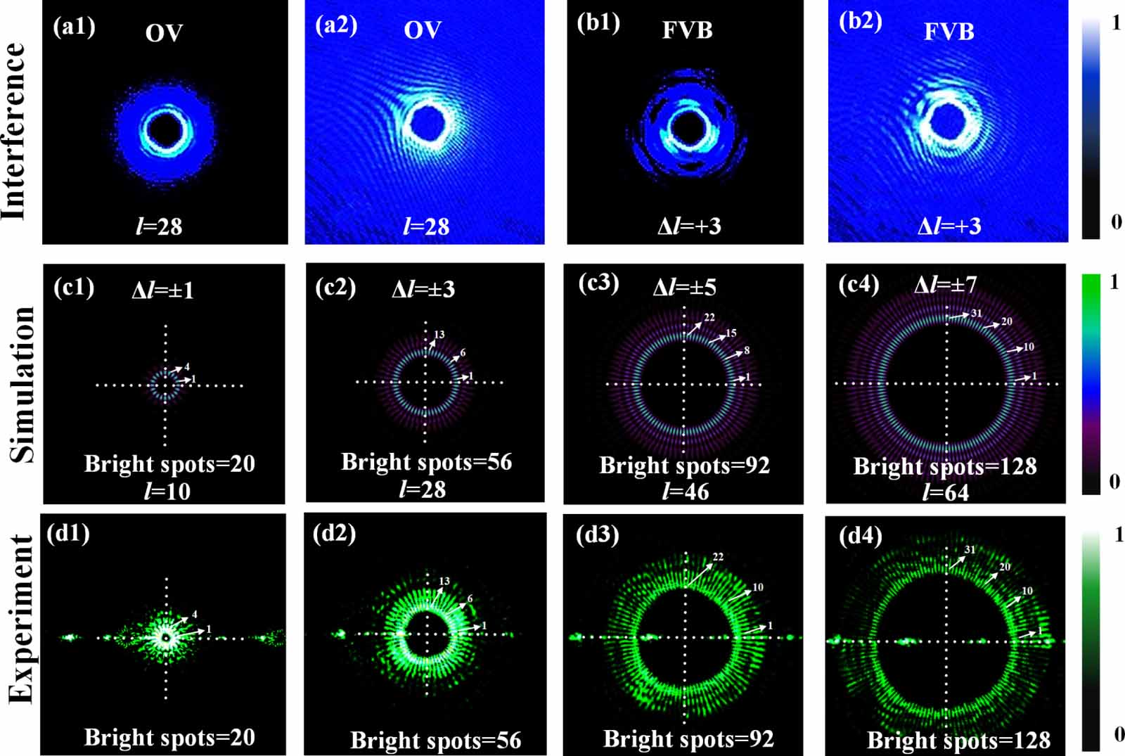 Vortex Phase Pattern Generation of dynamic rotation propagation vortex beam by a Fibonacci ...