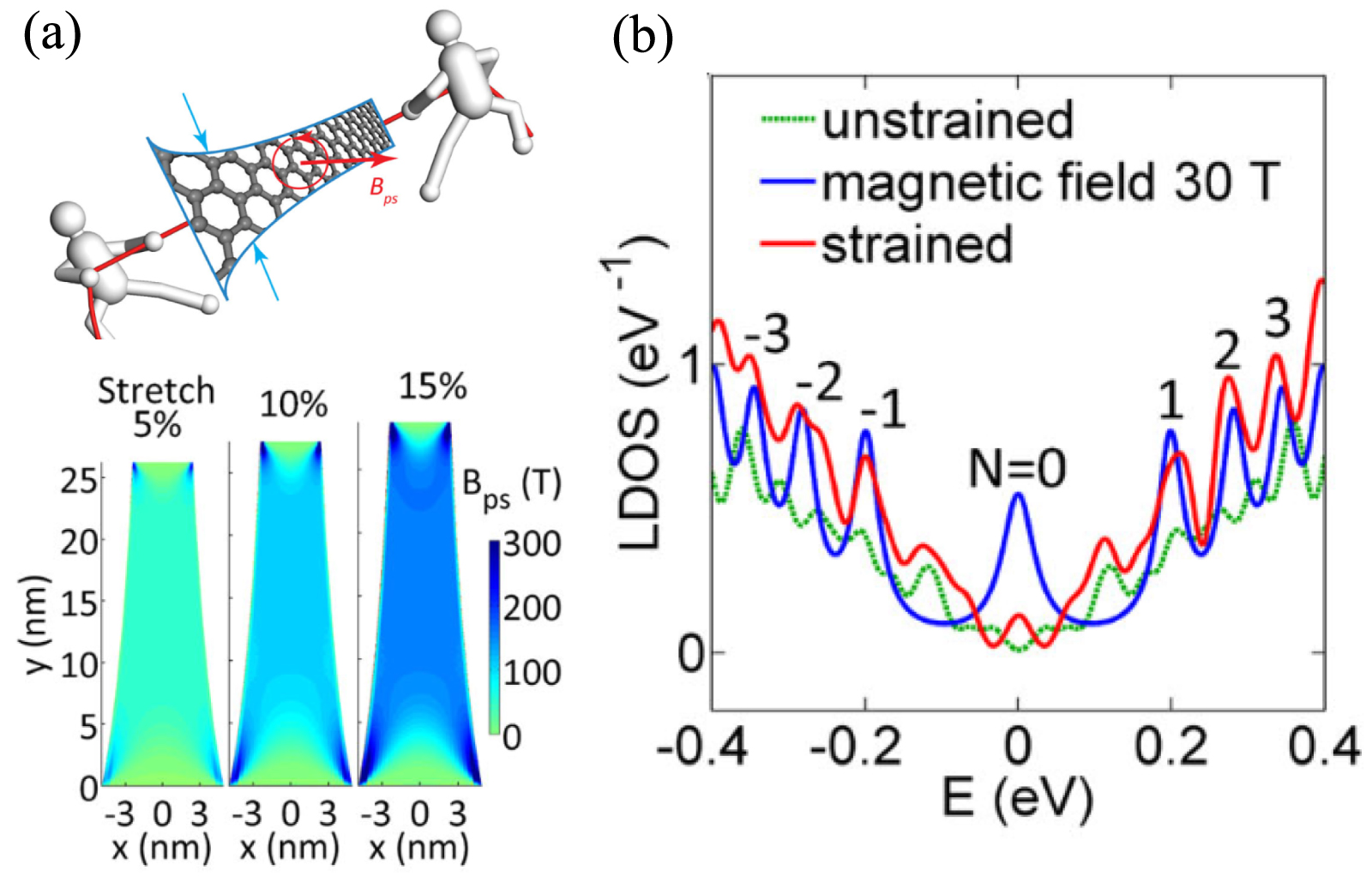 Surface acoustic wave induced transport and strain phenomena in van der ...