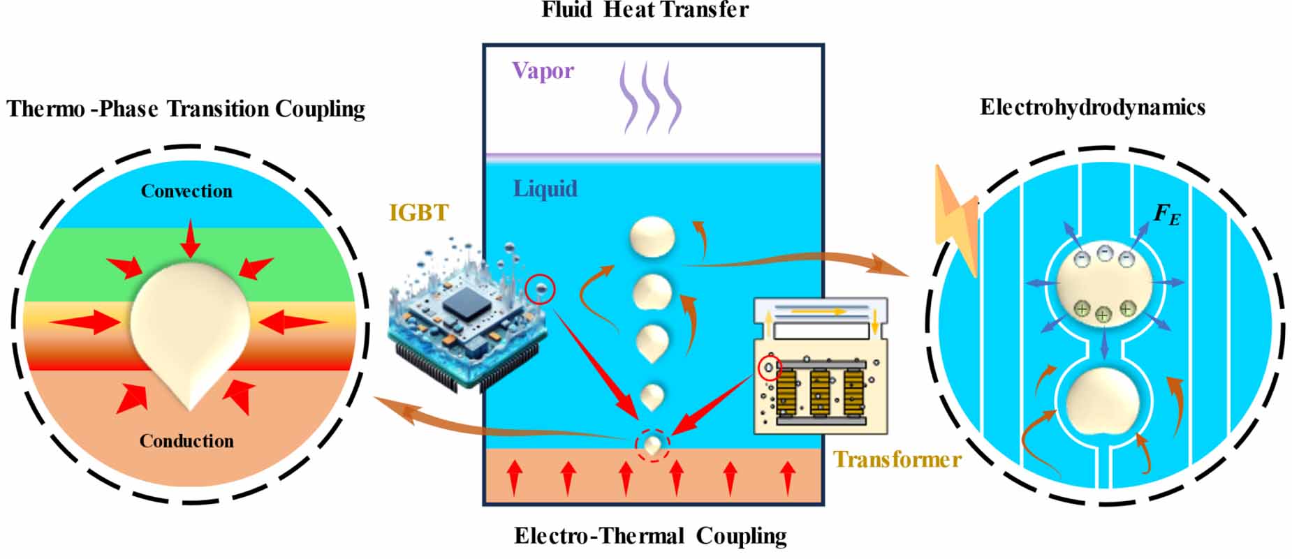 Numerical simulation of electric field-induced phase transition ...