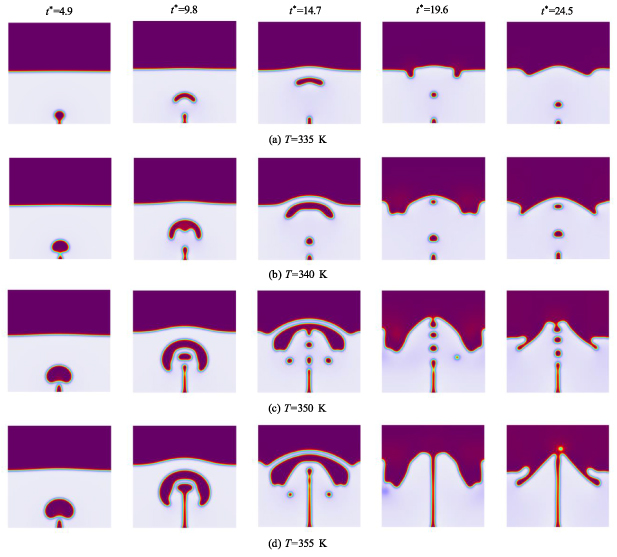 Numerical simulation of electric field-induced phase transition ...