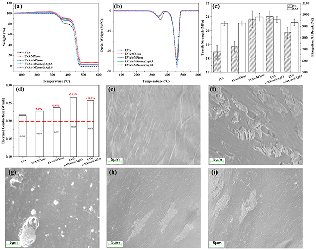 In situ growth of Ag nanoparticles on the surface of MXene by γ-ray ...