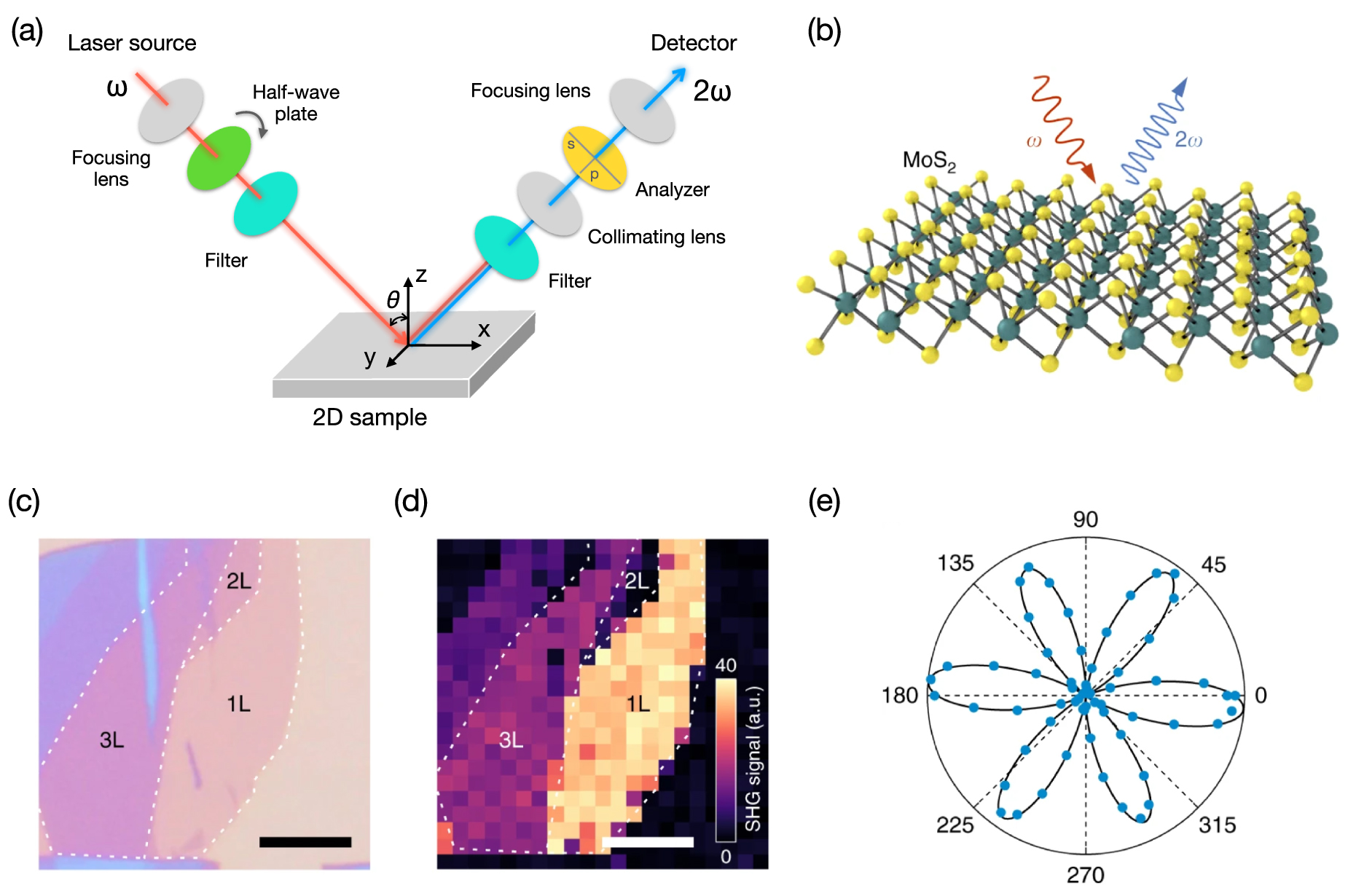 Symmetry breaking in 2D materials for optimizing second-harmonic ...