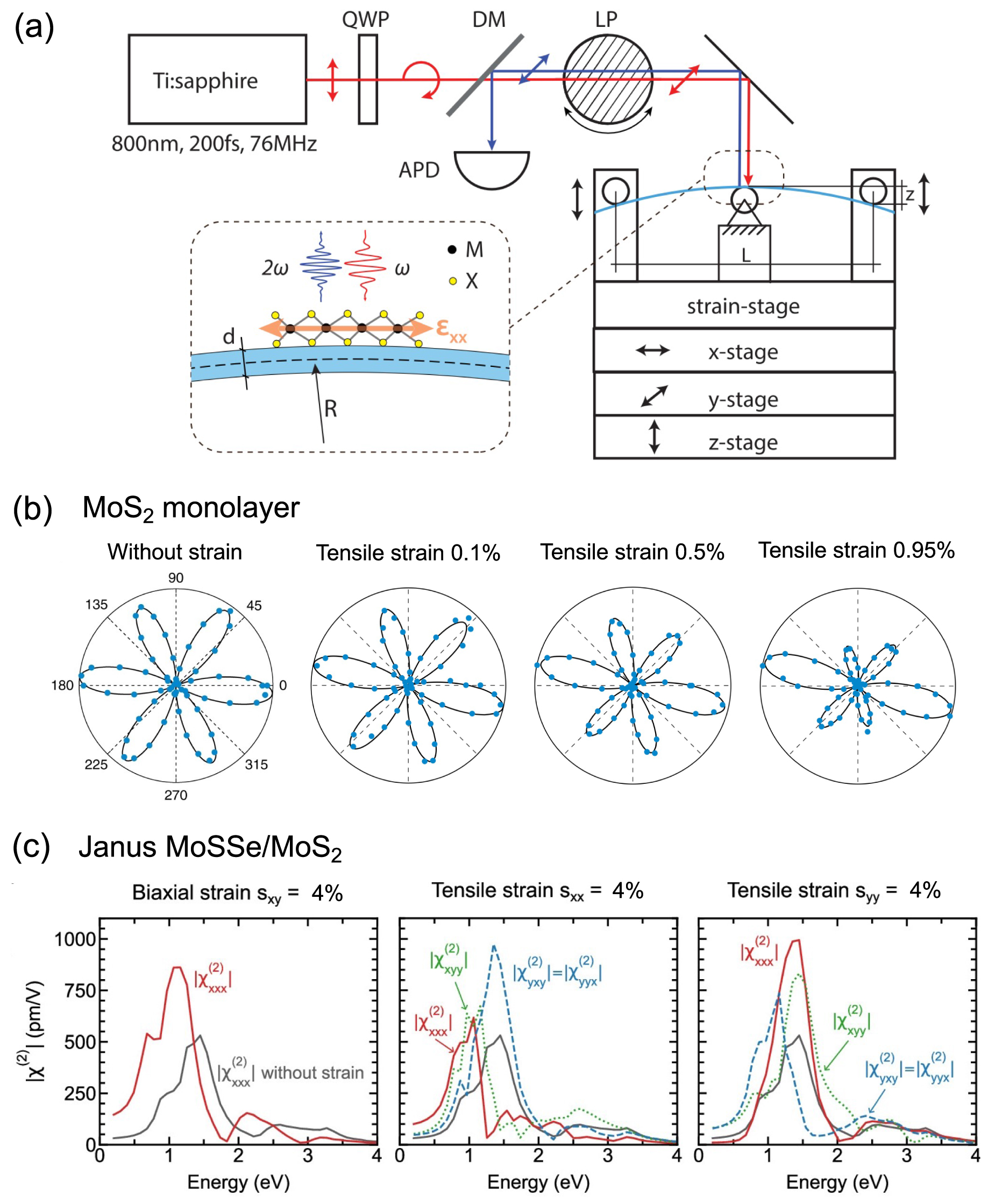 Symmetry breaking in 2D materials for optimizing second-harmonic ...