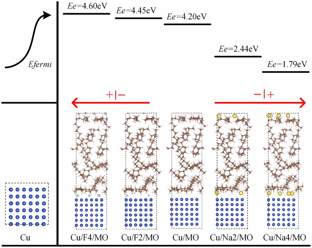 A first-principles study of the formation and regulation of the ...