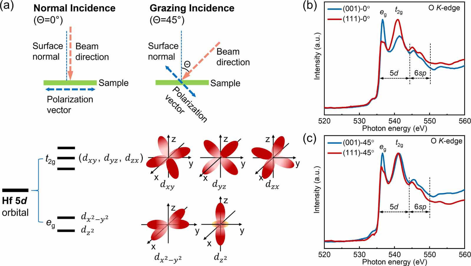 Control of intrinsic ferroelectricity and structural phase in pure HfO2 ...