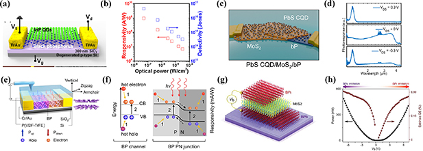 Application and prospect of 2D materials in photodetectors - IOPscience