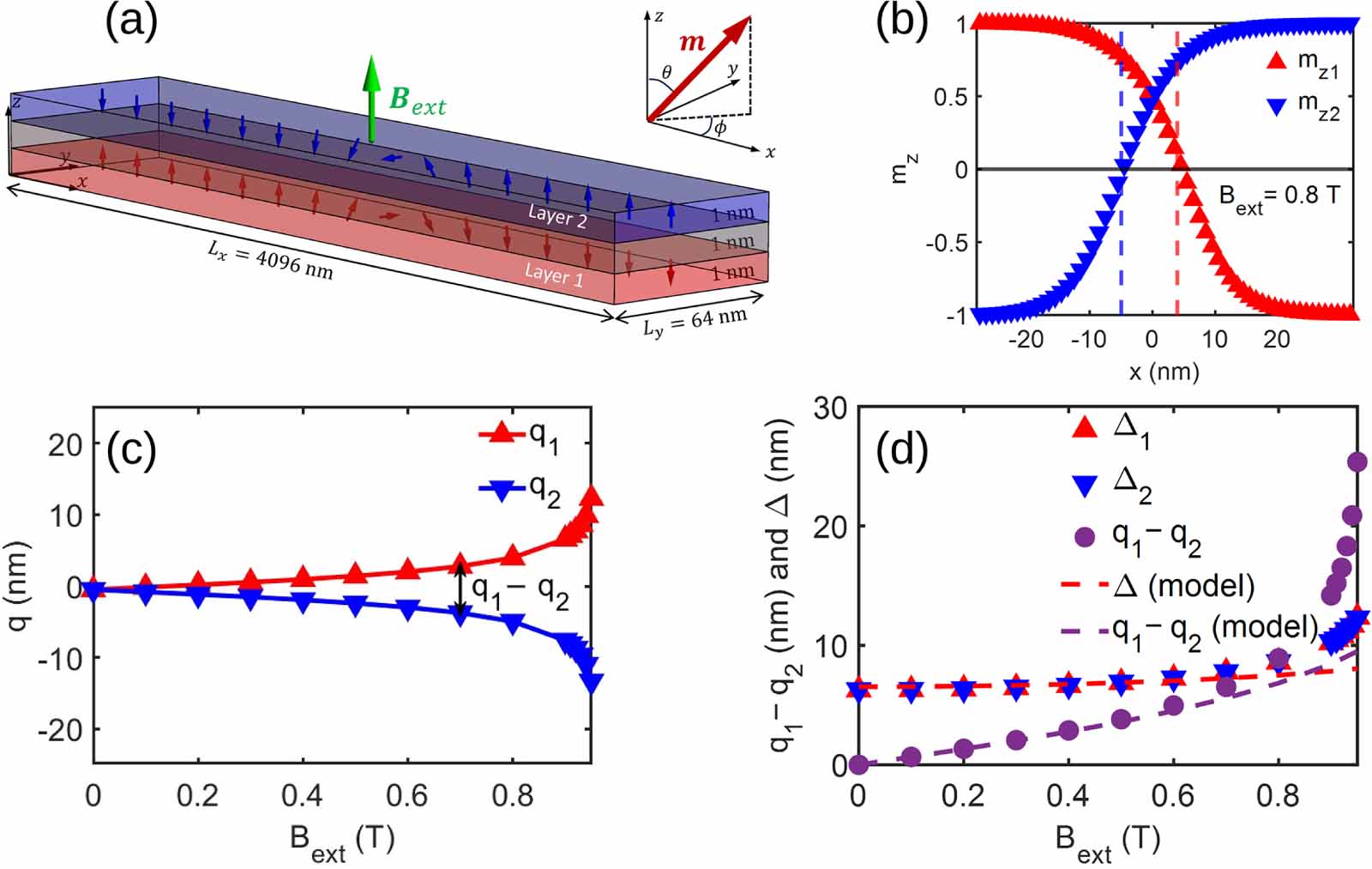 Interlayer coupled domain wall dynamics induced by external magnetic ...