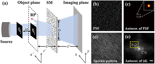 Depth-resolved imaging through dynamic scattering media via speckle ...