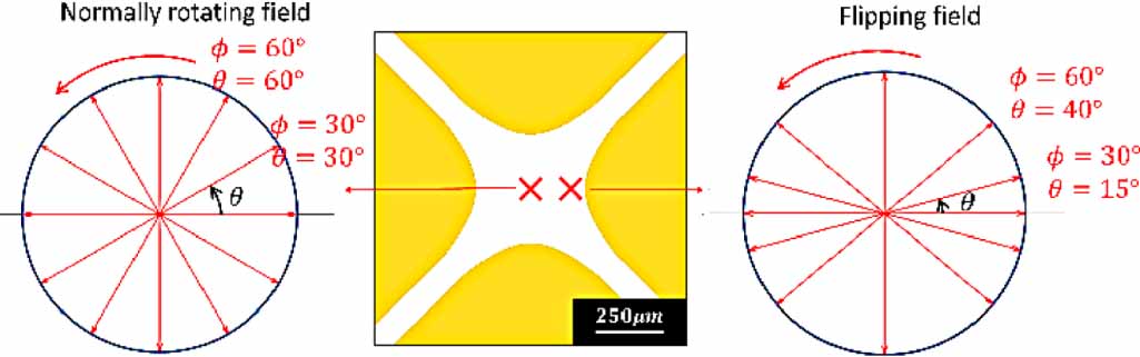 Addressing variability in cell electrorotation through holographic ...