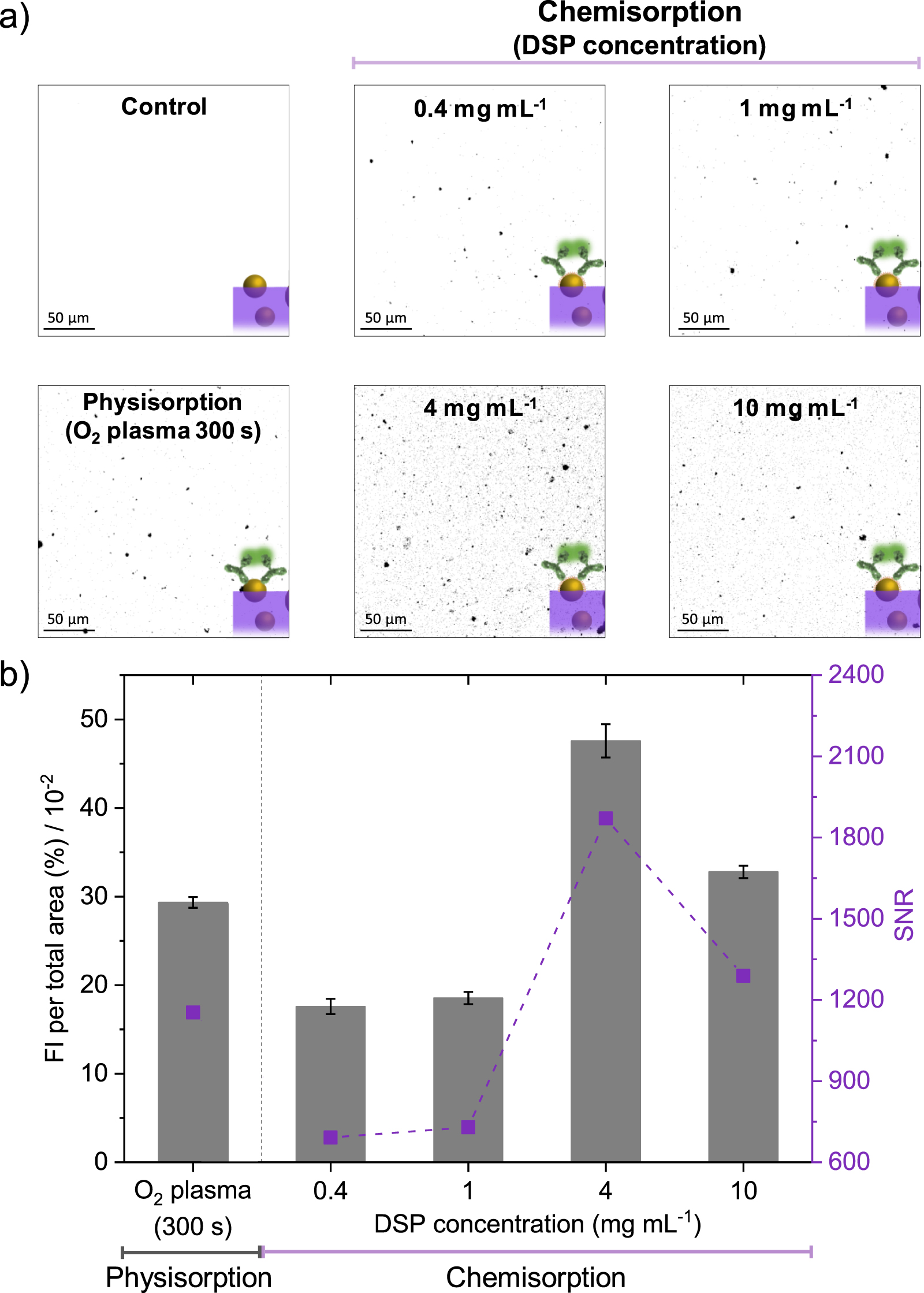 Immobilizing antibody biorecognition layers on Au–TiO2 thin films ...