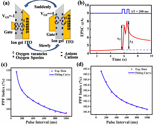Artificial optoelectronic synapses based on flexible and transparent ...