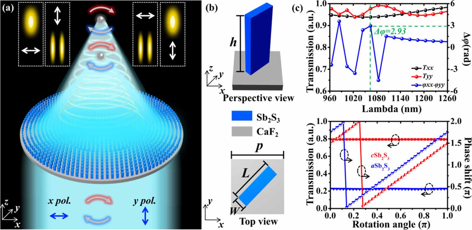 Switchable optical trapping and manipulation enabled by polarization ...