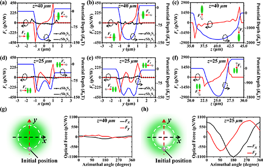 Switchable optical trapping and manipulation enabled by polarization ...
