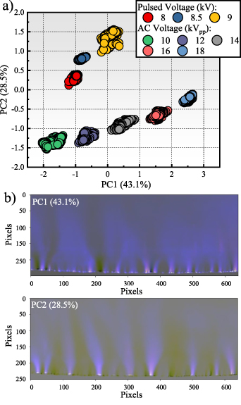 ユーザー Elastomeric Cardiowrap Scaffolds Functionalized with