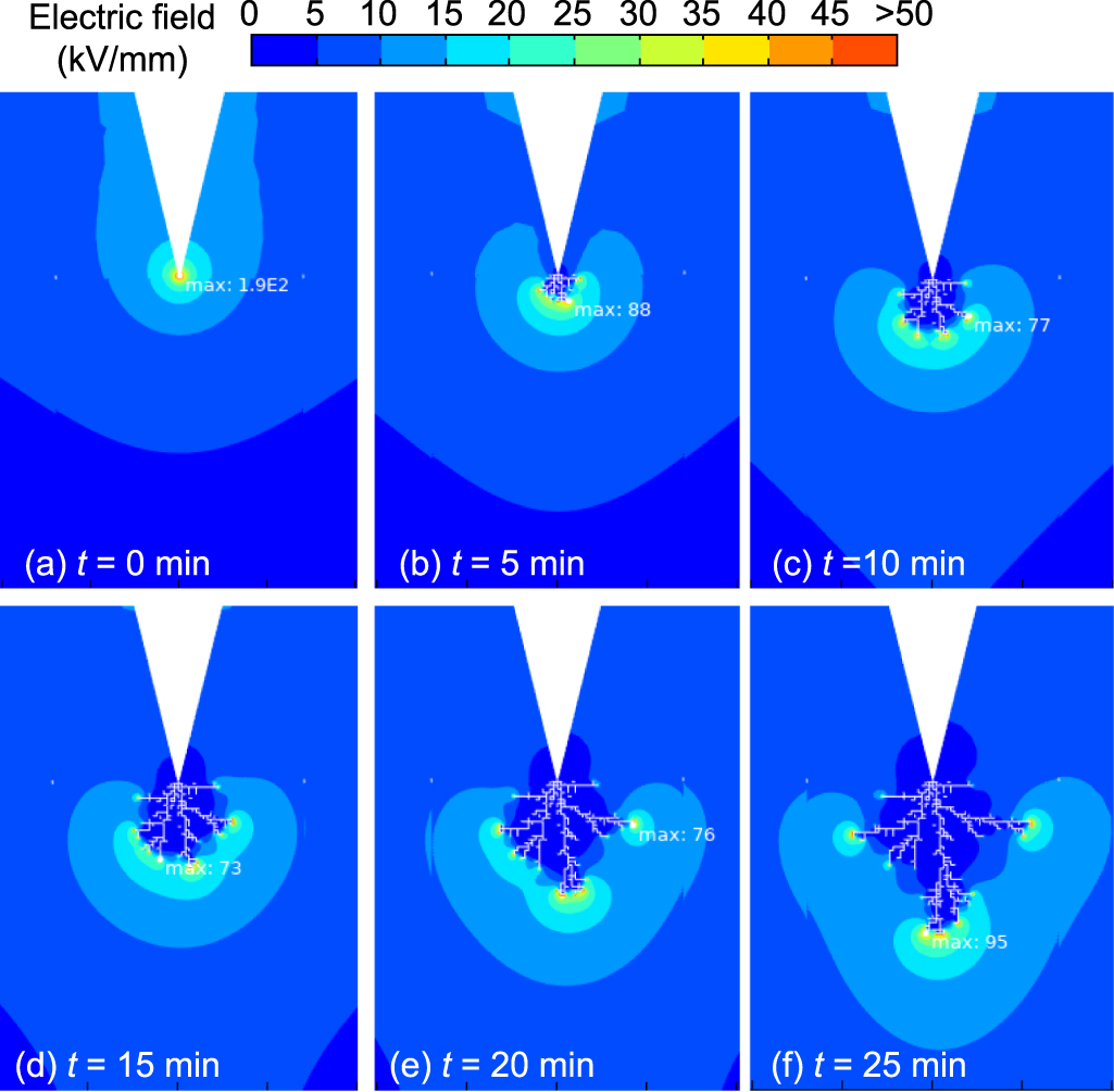 Simulation study on electrical tree propagation under electrical and ...