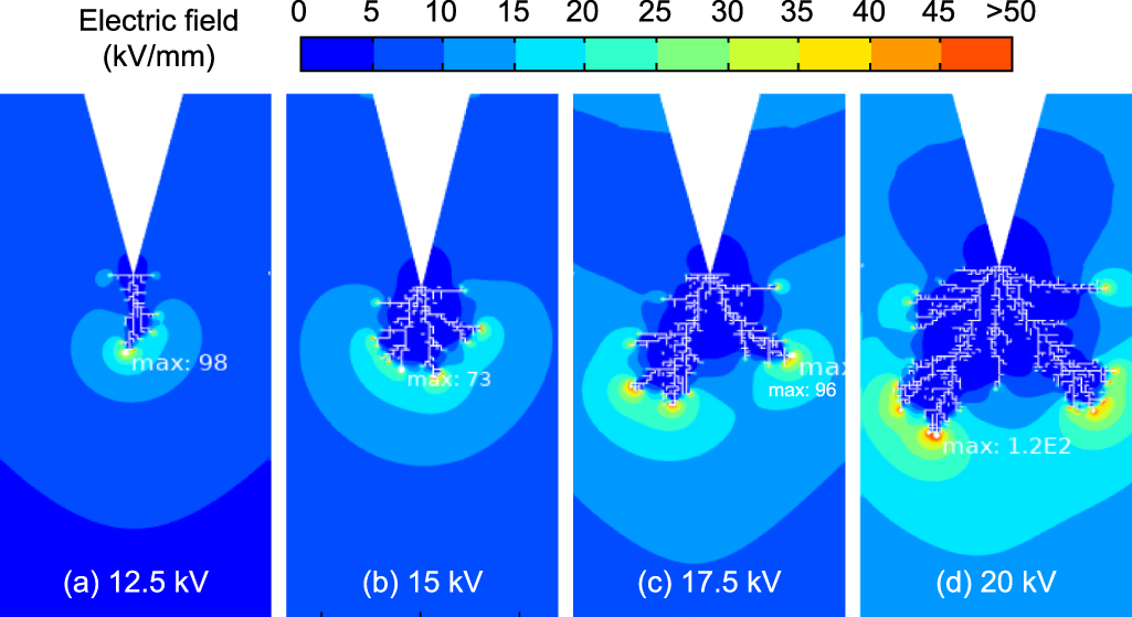 Simulation study on electrical tree propagation under electrical and ...
