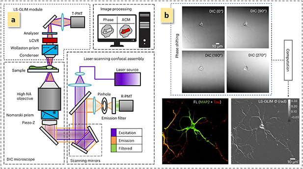 A review on optical characterization of refractive index in photonic ...