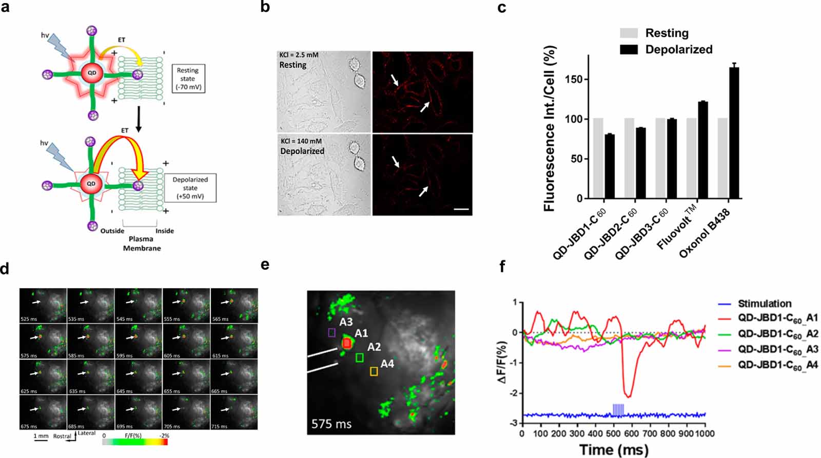 Advances in optical recording techniques for non-invasive monitoring of ...