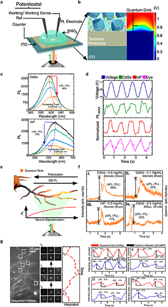 Advances in optical recording techniques for non-invasive monitoring of ...